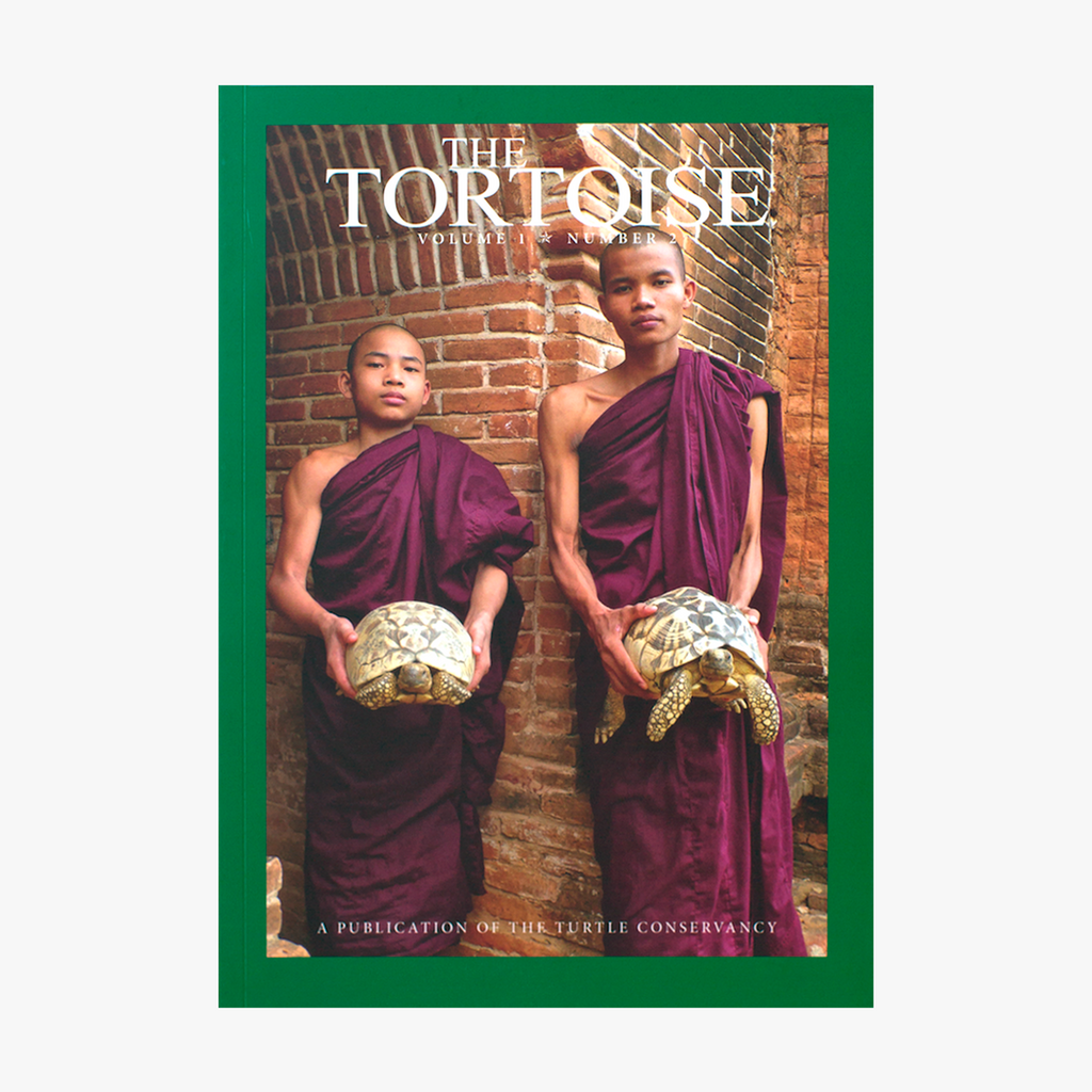 The Tortoise Issue 2