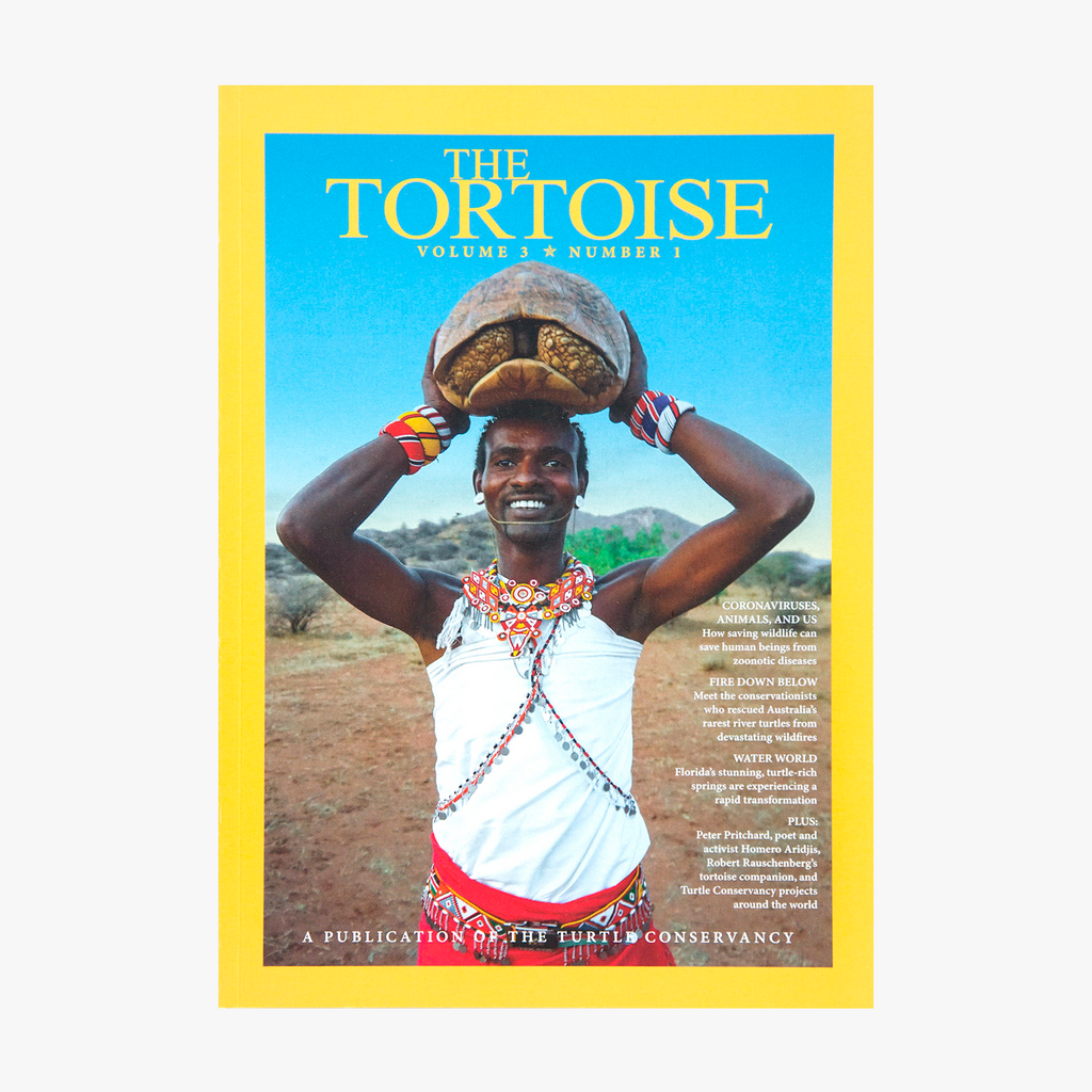 The Tortoise Issue 9