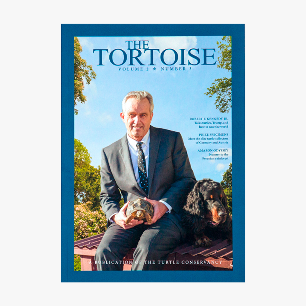 The Tortoise Issue 7