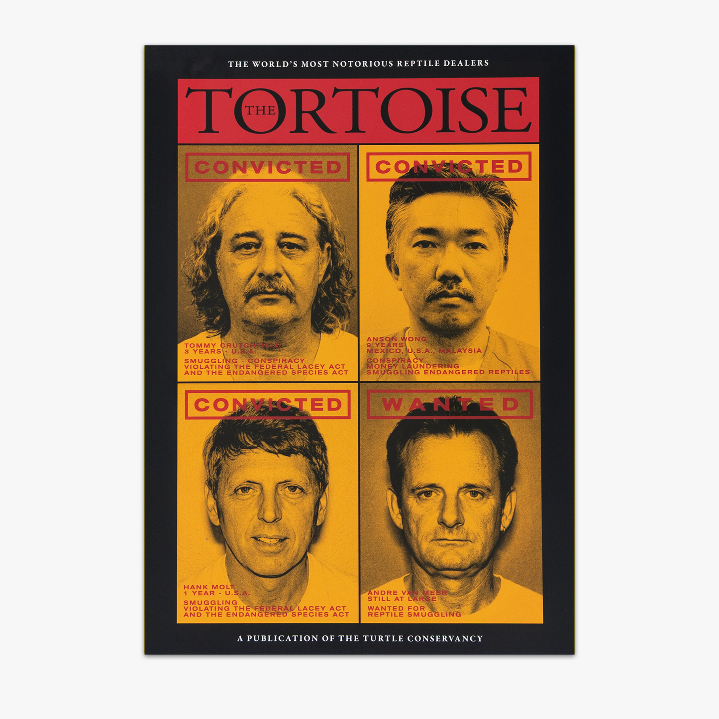 The Tortoise Issue 15