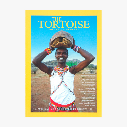 The Tortoise Issue 9
