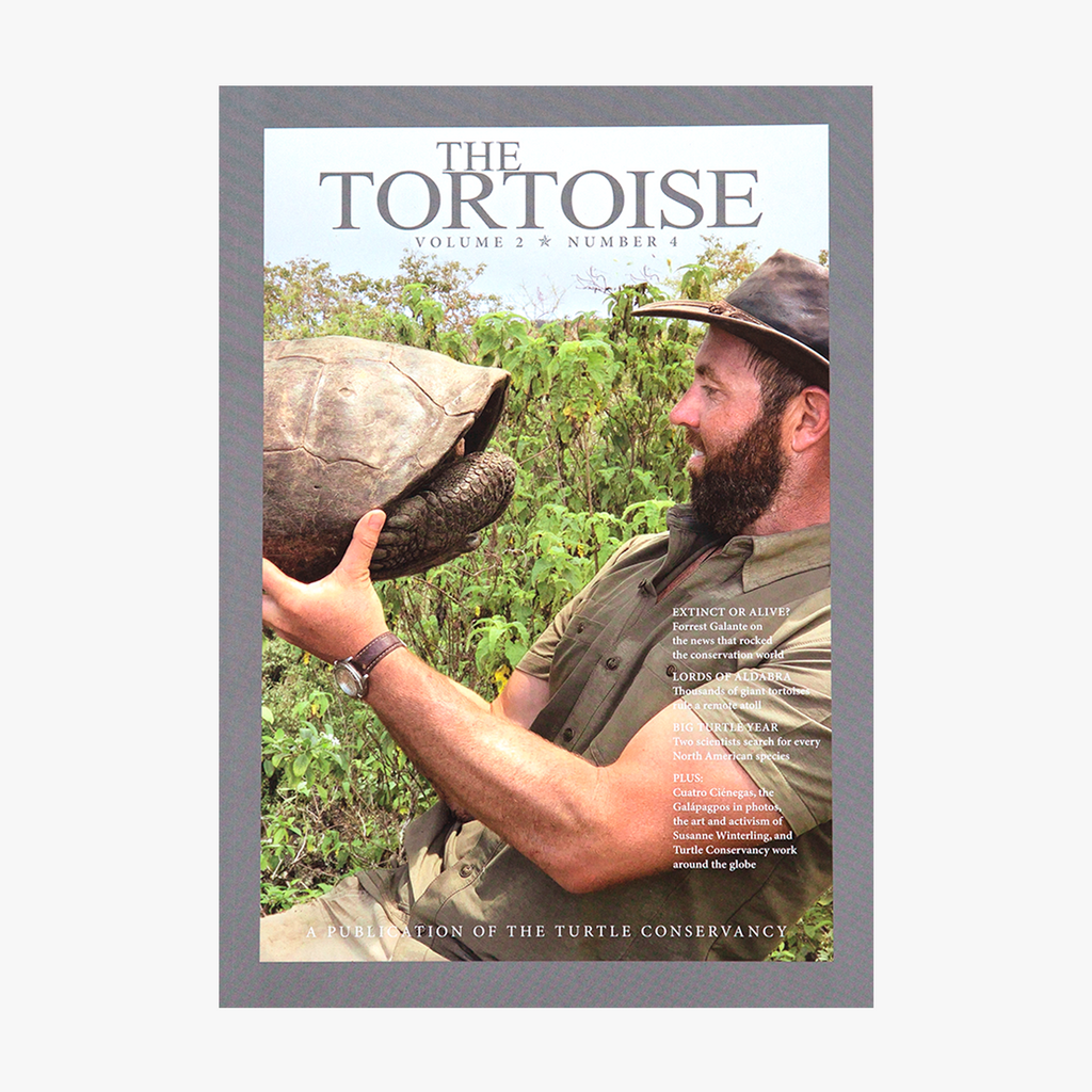 The Tortoise Issue 8