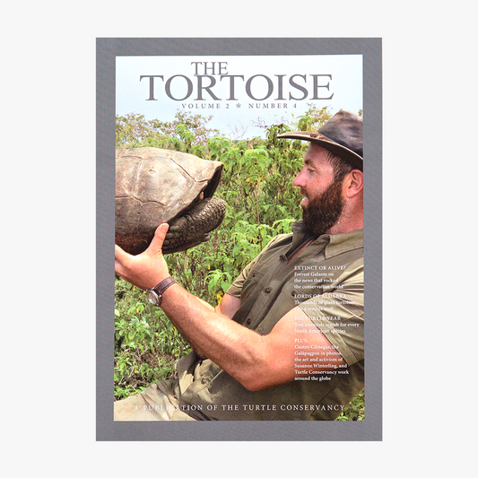 The Tortoise Issue 8