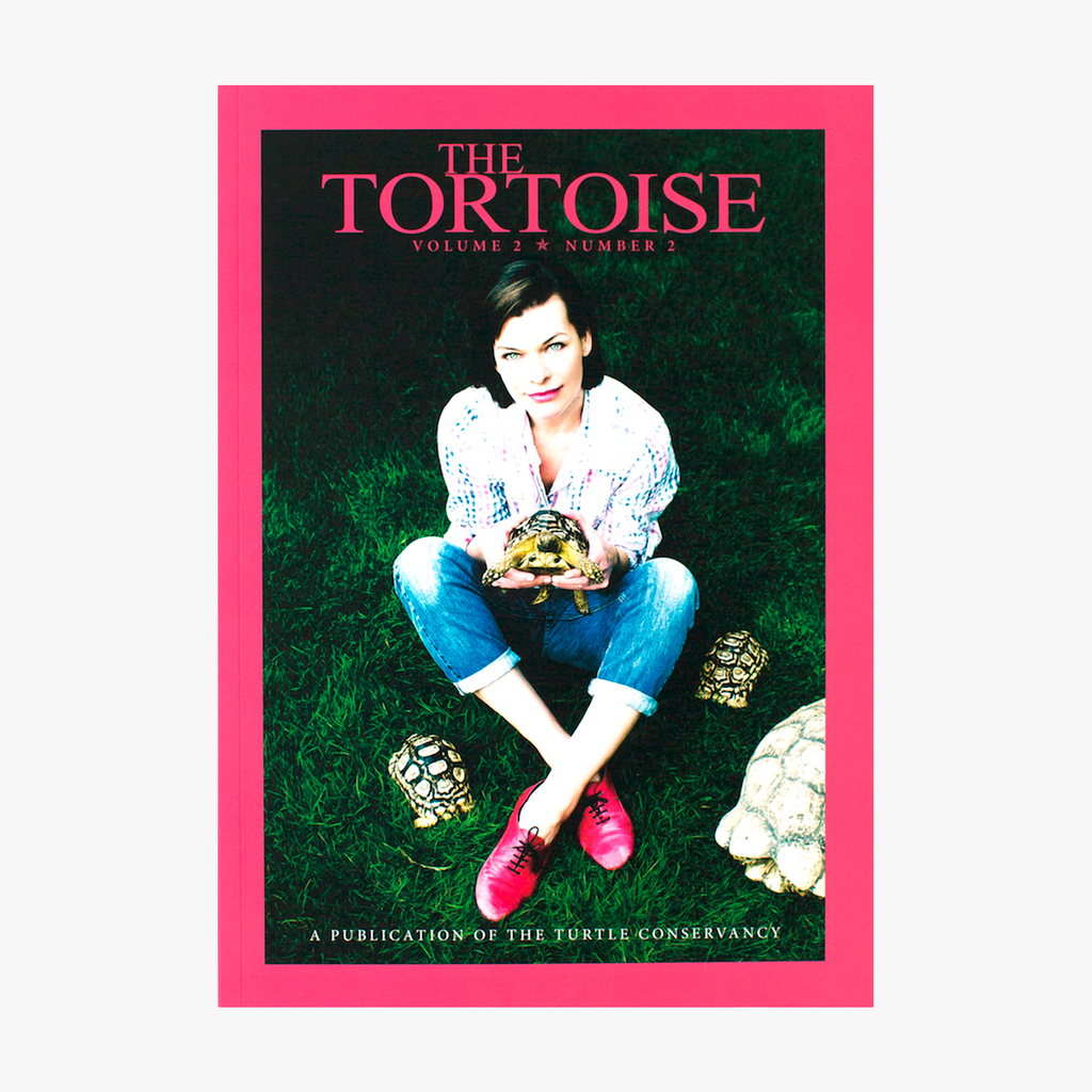 The Tortoise Issue 6