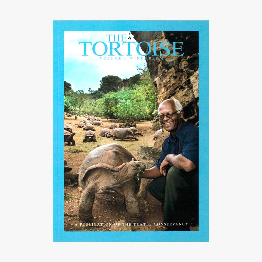 The Tortoise Issue 4
