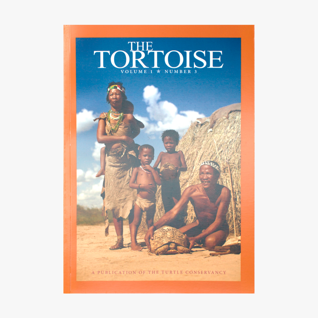 The Tortoise Issue 3