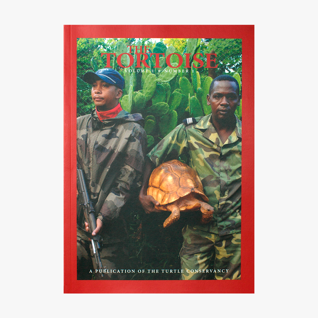 The Tortoise Issue 1