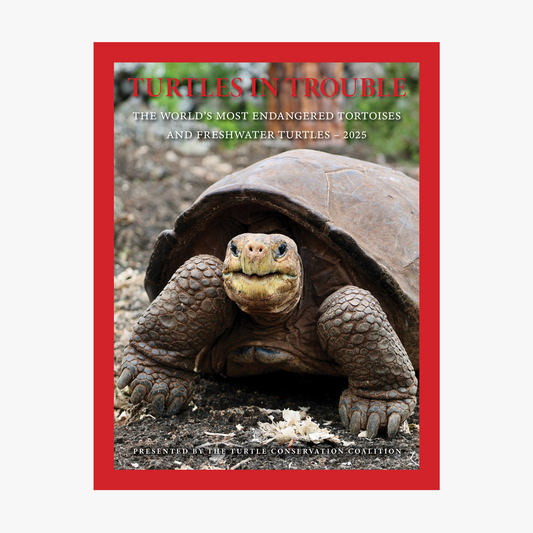 Turtles in Trouble: The World’s Most Endangered Turtles and Tortoises